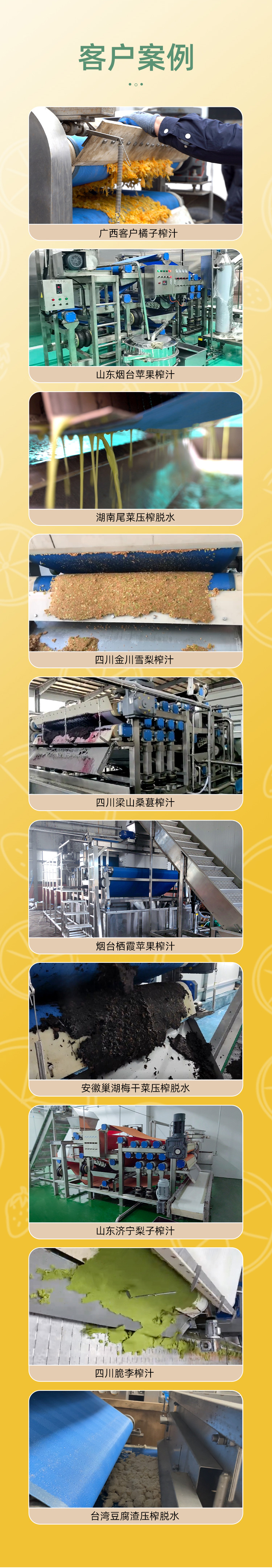 藍(lán)莓/漿果汁壓榨生產(chǎn)線 藍(lán)莓/漿果汁壓榨生產(chǎn)線